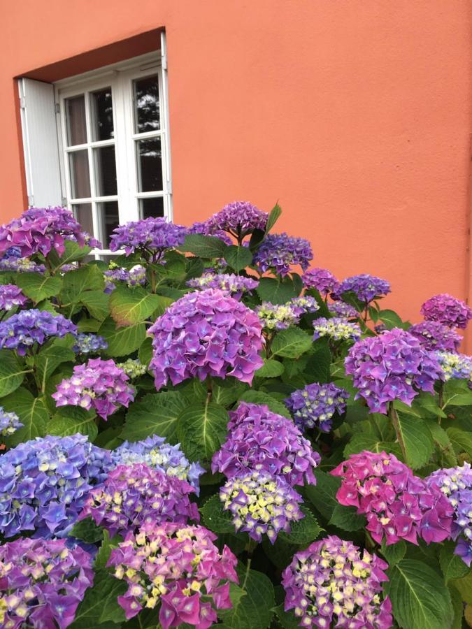Hotel La Belle Etoile Thouaré-sur-Loire Esterno foto